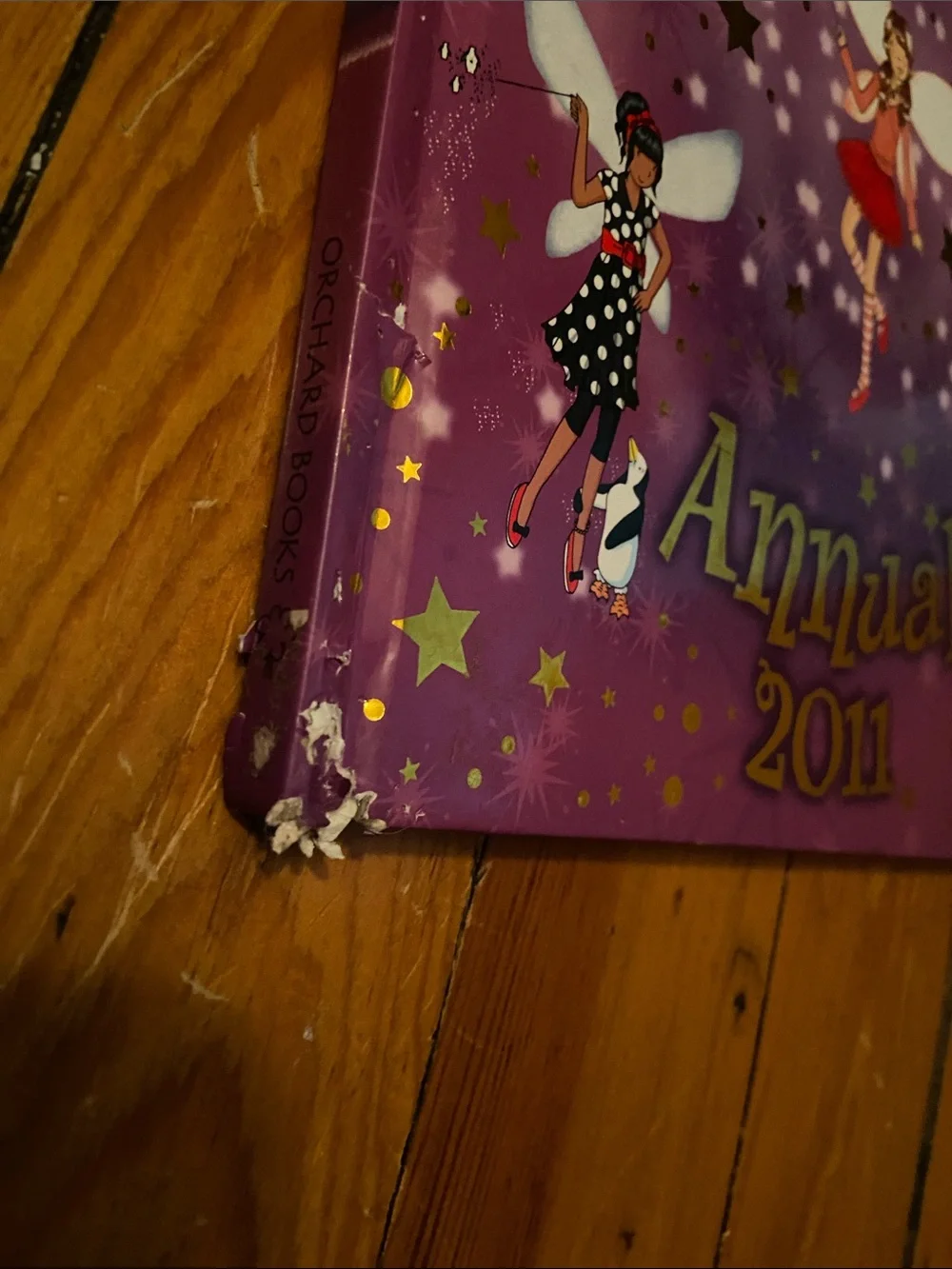 Rainbow Magic Purple Fairy book Fairies craft crafts activities activity Magical